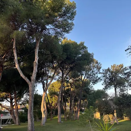 Wonderful In Enjoy The Fantastic Views Marbella